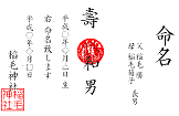 命名紙